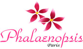 PhalaenopsisParis